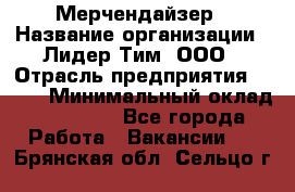 Мерчендайзер › Название организации ­ Лидер Тим, ООО › Отрасль предприятия ­ BTL › Минимальный оклад ­ 17 000 - Все города Работа » Вакансии   . Брянская обл.,Сельцо г.